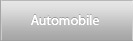 Automobile detailing & Upholstery